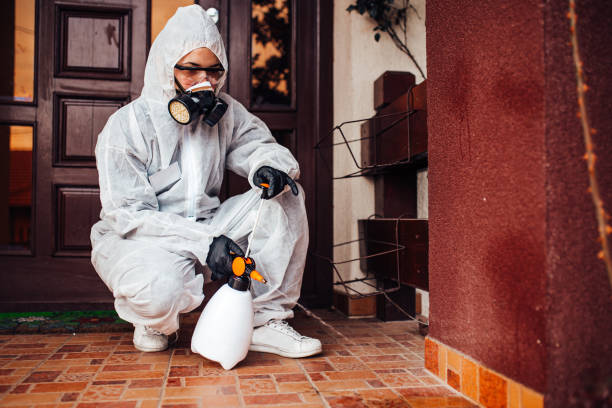 Attic and Crawl Space Rodent Treatment in Puxico