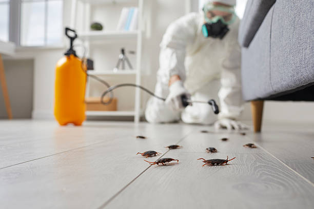 Commercial Rodent Management in Puxico